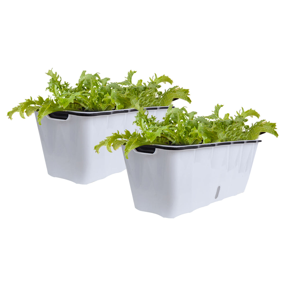 SOGA 2X Large White Rectangular Flowerpot Vegetable Herb Flower Outdoor Plastic Box Garden Decor