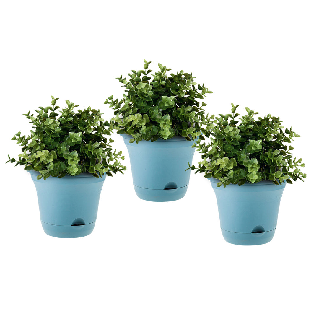 SOGA 19.5cm Blue Plastic Plant Pot Self Watering Planter Flower Bonsai Indoor Outdoor Garden Decor Set of 3