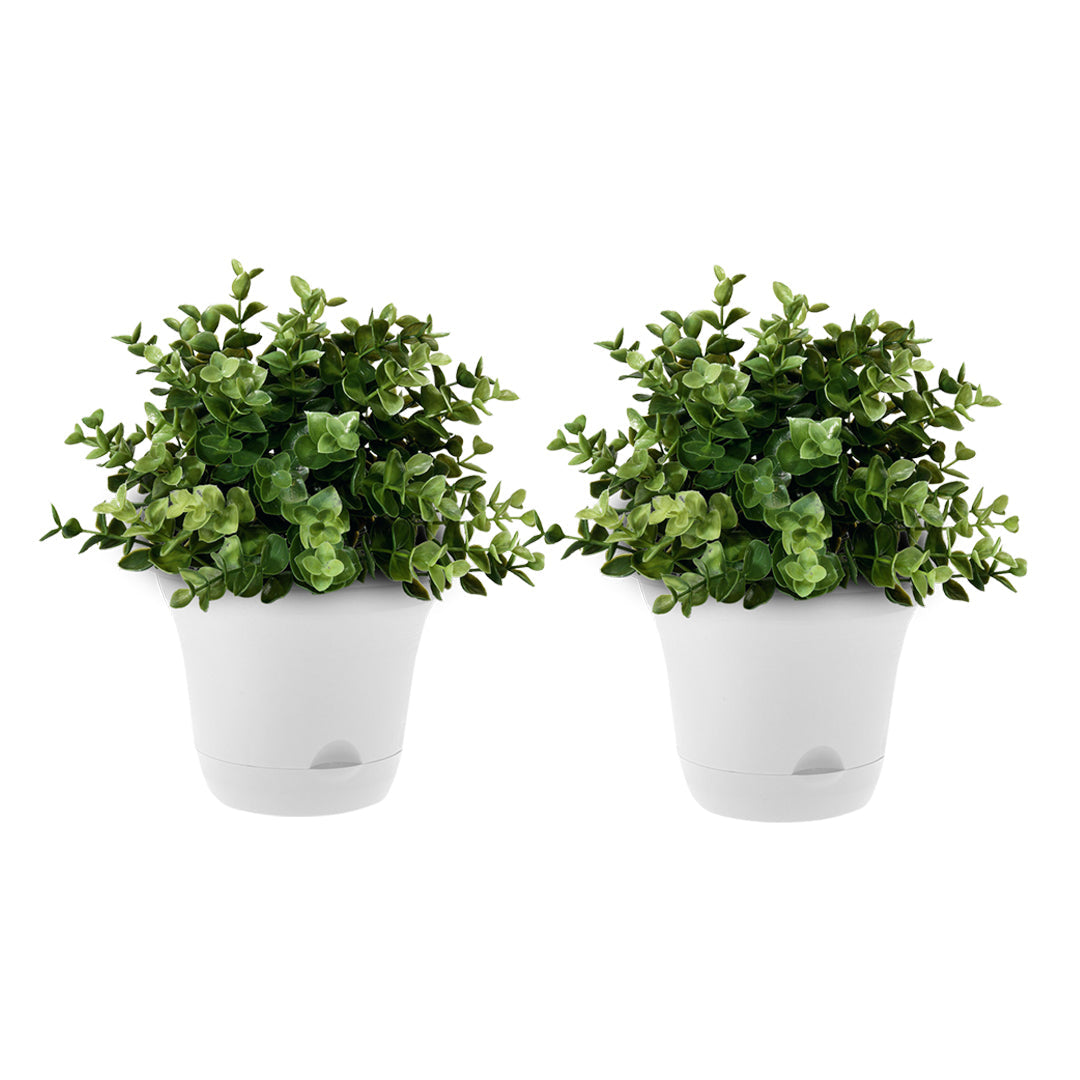 SOGA 19.5cm White Plastic Plant Pot Self Watering Planter Flower Bonsai Indoor Outdoor Garden Decor Set of 2